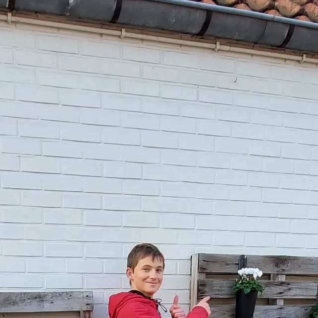 deganzenveer's tweet card. De Ganzenveer (@deganzenveer) • Instagram photo