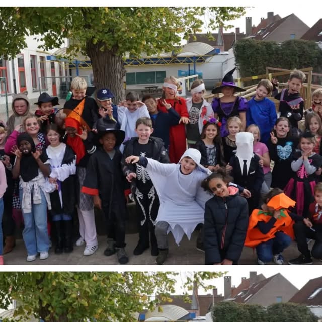 deganzenveer's tweet card. De Ganzenveer (@deganzenveer) • Instagram photo