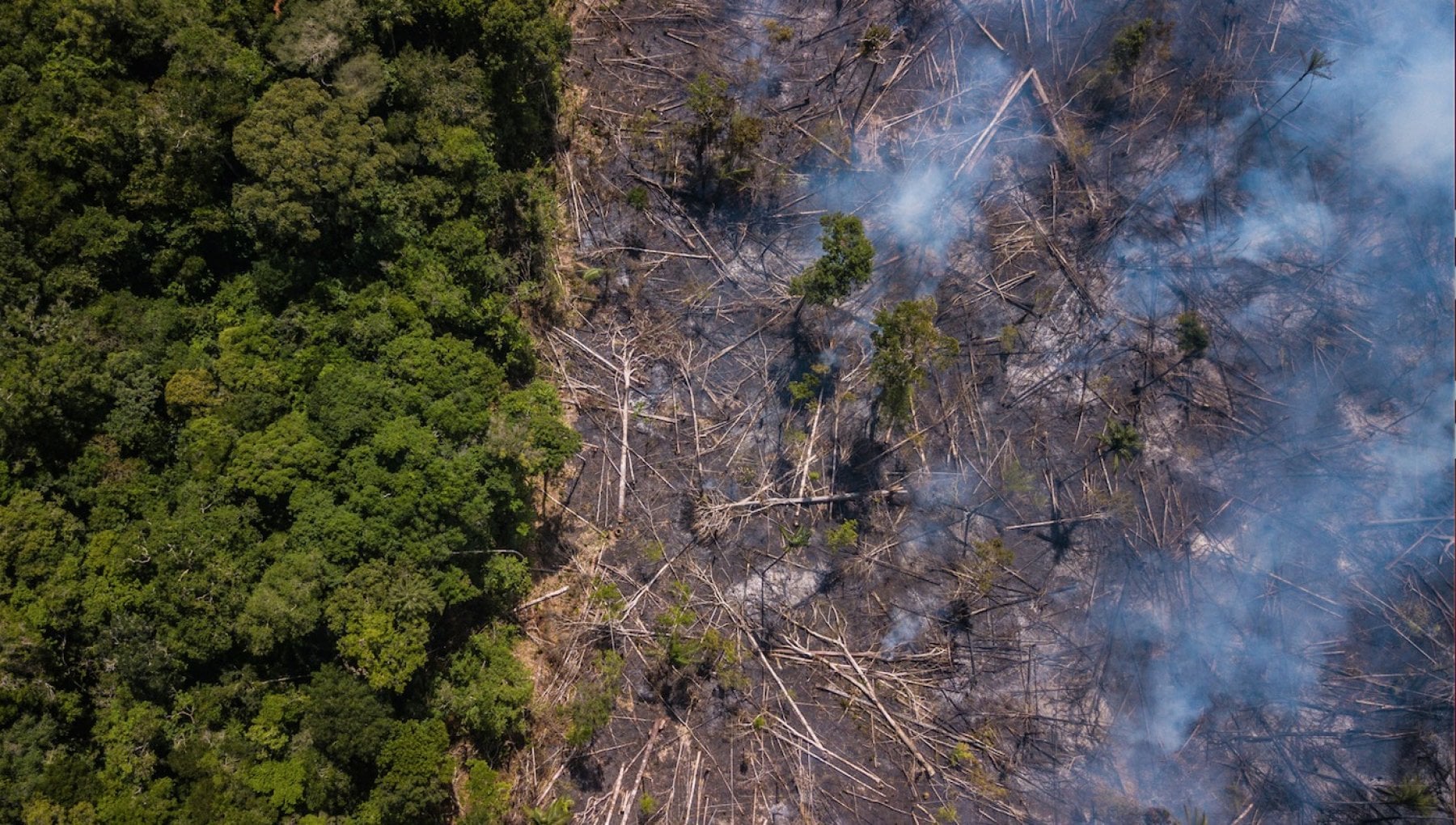 esternuzzo's tweet card. Il punto non è domandarsi se arriverà una prossima pandemia, ma quando. E allora bisogna giocare d’anticipo, con soluzioni a lungo termine.…