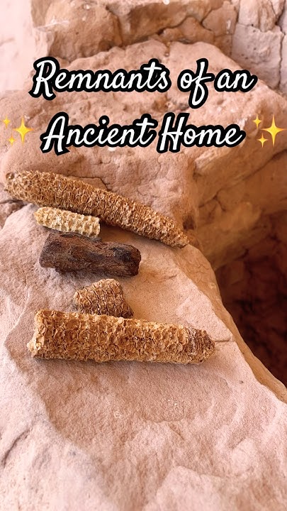 mshelkennington's tweet card. An ancient home still whispers its stories. #BearsEars #AncientRuins...