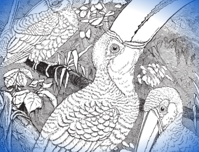 OReillyMedia's tweet card. For nearly three decades the animals on the O'Reilly boo covers have become almost a part of geek culture itself. The woman behind this initiative? Edie Freedman, who worked as a creative director...