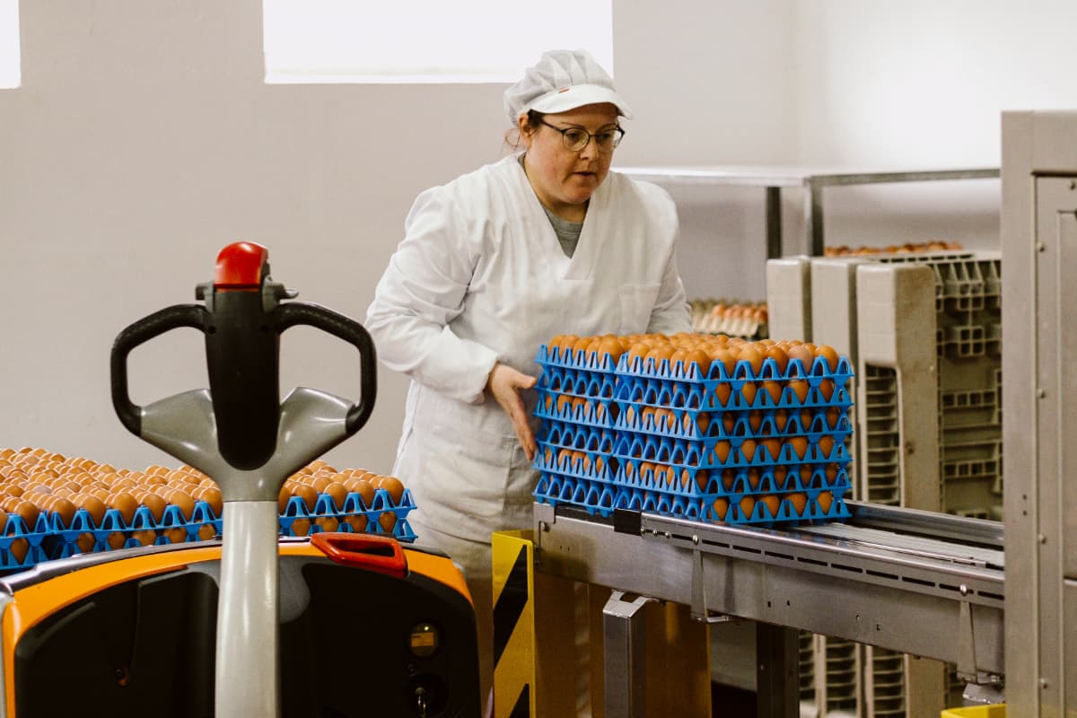 PazodeVilane's tweet card. Mejoramos la ergonomía en los procesos de la planta de Envasado con la participación de la planti...