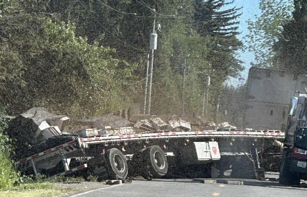 beegeek's tweet card. After a truck carrying hives tipped over early Friday, about 14 million honeybees swarmed and stung Whatcom County sheriff’s deputies.