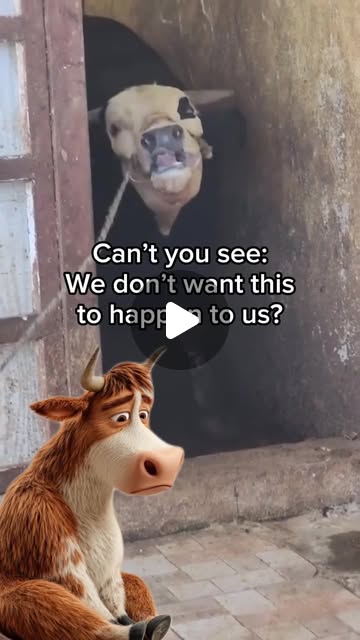 RavenTW's tweet card. Vegan for the Animals (@vegan.f.t.a) • Instagram reel