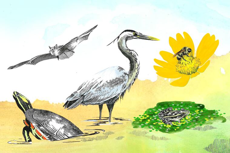 SamMorrisDesign's tweet card. Near I-95 and the airport lies an unlikely home to special, rare, and endangered animals.