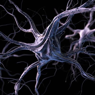 RandrielyM's tweet card. Early life experiences may impact the child’s development, affecting neural, behavioral, and psychological domains. These experiences can shape individual differences in neural plasticity and...