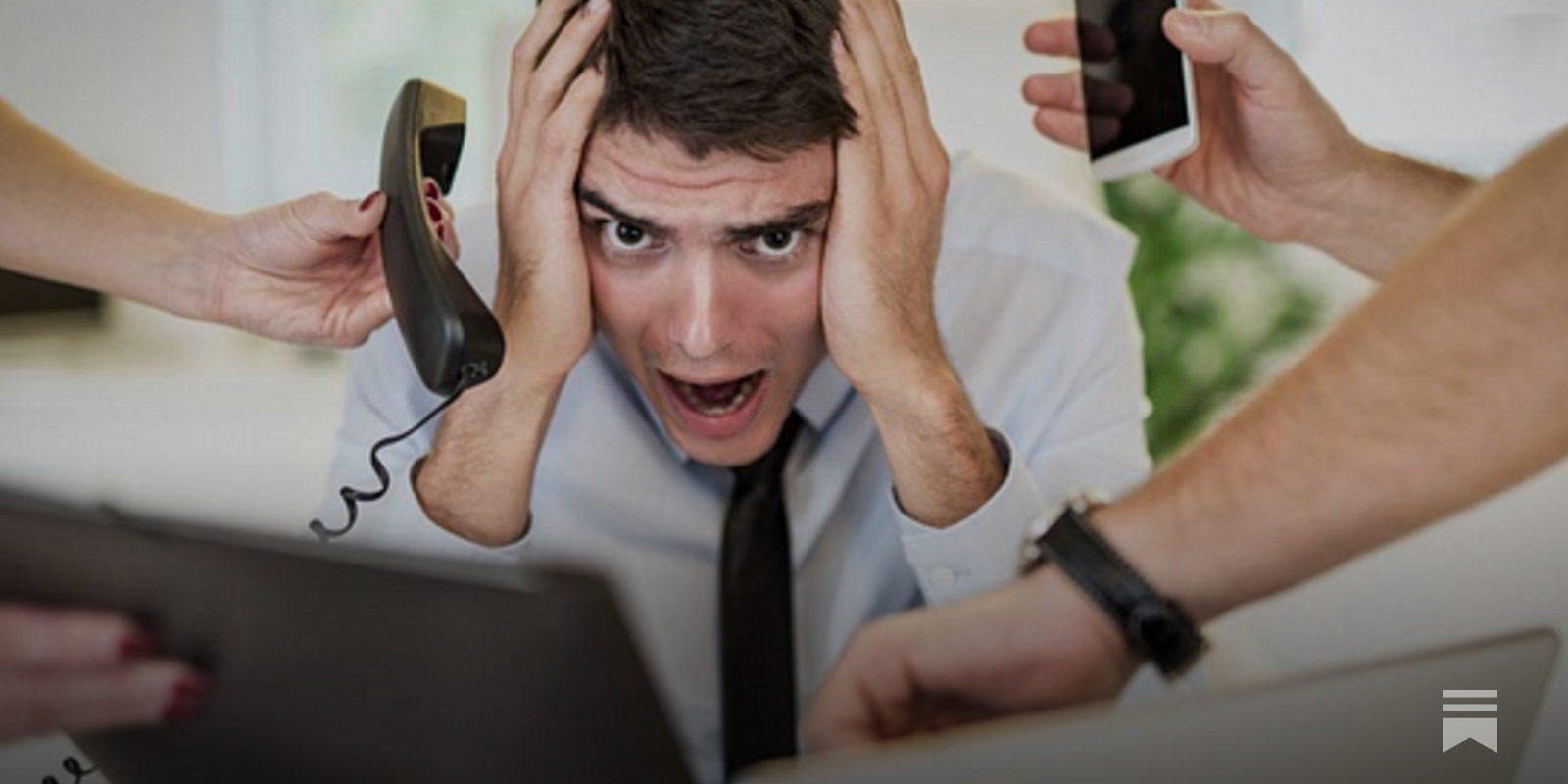 bryan_caplan's tweet card. Caplan and Candor