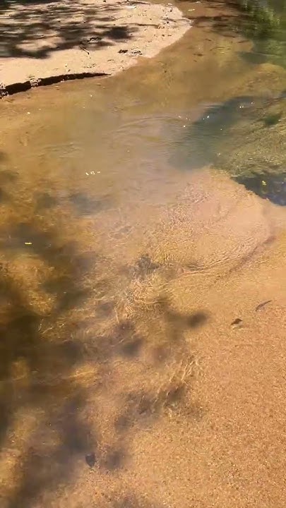 CesarMohnsam's tweet card. Explorando o arroio! 🚶‍♂️🌳☀️