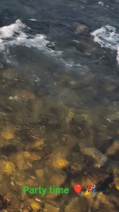 Subhashchamol11's tweet card. #partyvibes#nature#enjoylife#chikrichikri #mohitchauhan#viral#short...