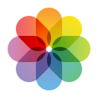 SeagatePTO's tweet card. Shared Photos