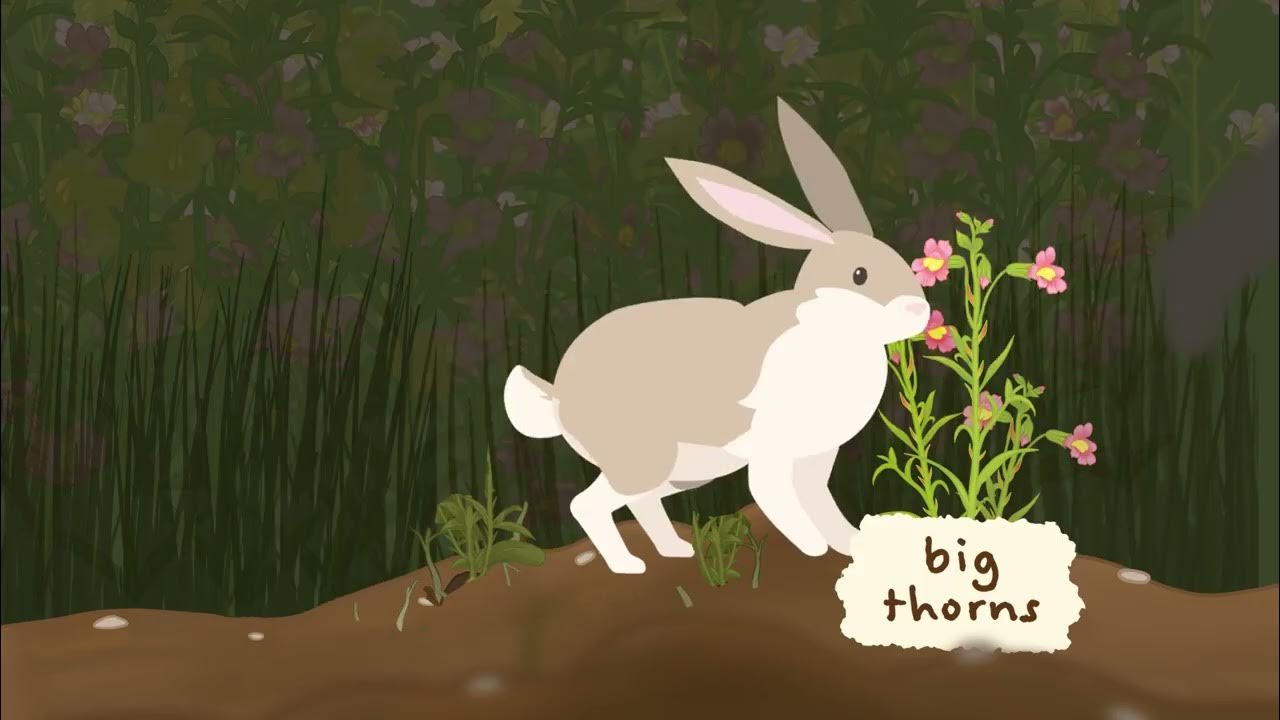 LearnGenetics's tweet card. How Natural Selection Works