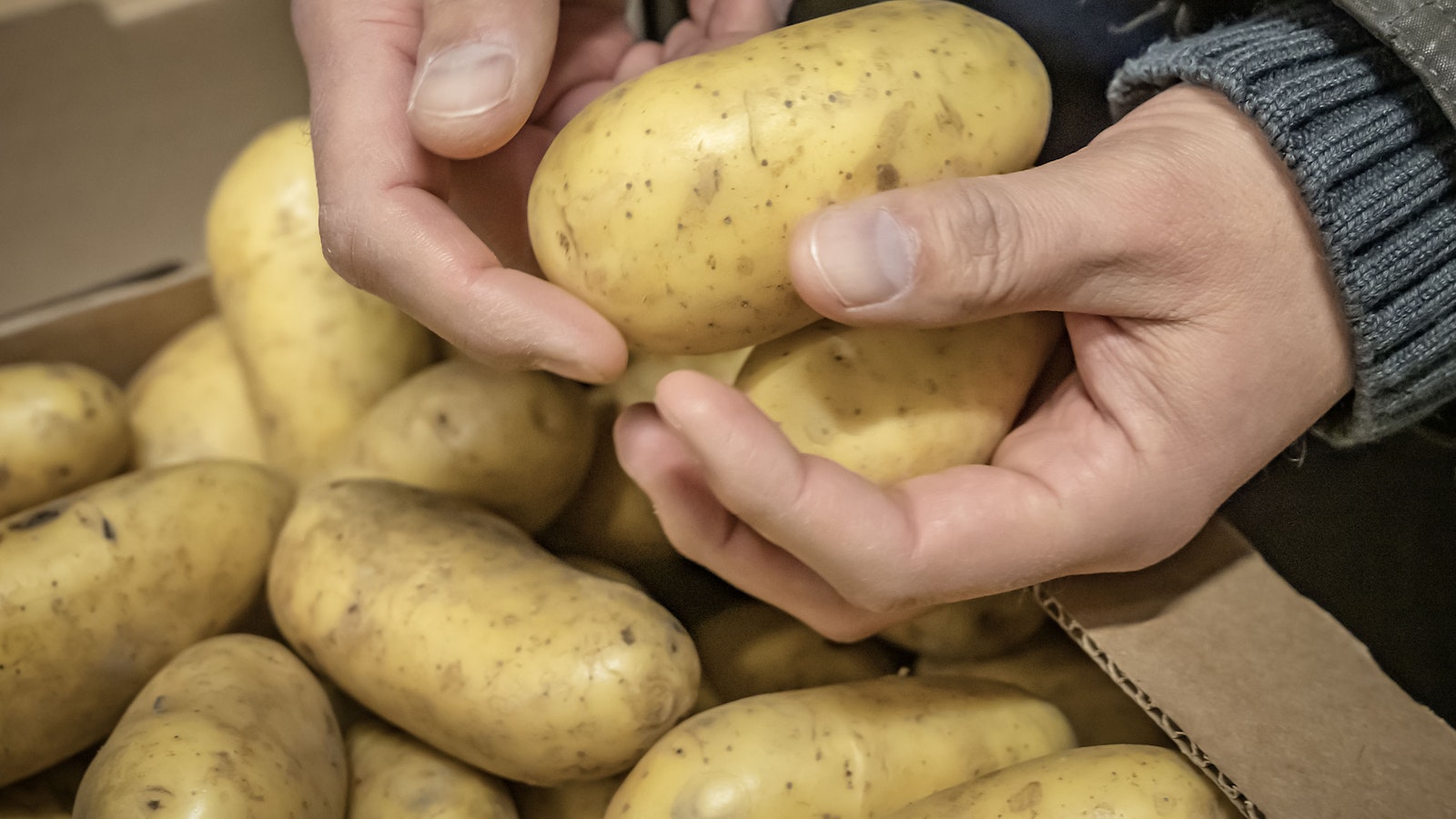 johanaberg_mtk's tweet card. HS:n haastattelussa erikoistutkija Veli-Matti Rokka kertoo, ettei juuri koskaan osta muovipussitettuja perunoita niiden heikon laadun takia. MTK:n asiantuntija sekä Peruna-alan yhteistyöryhmä...