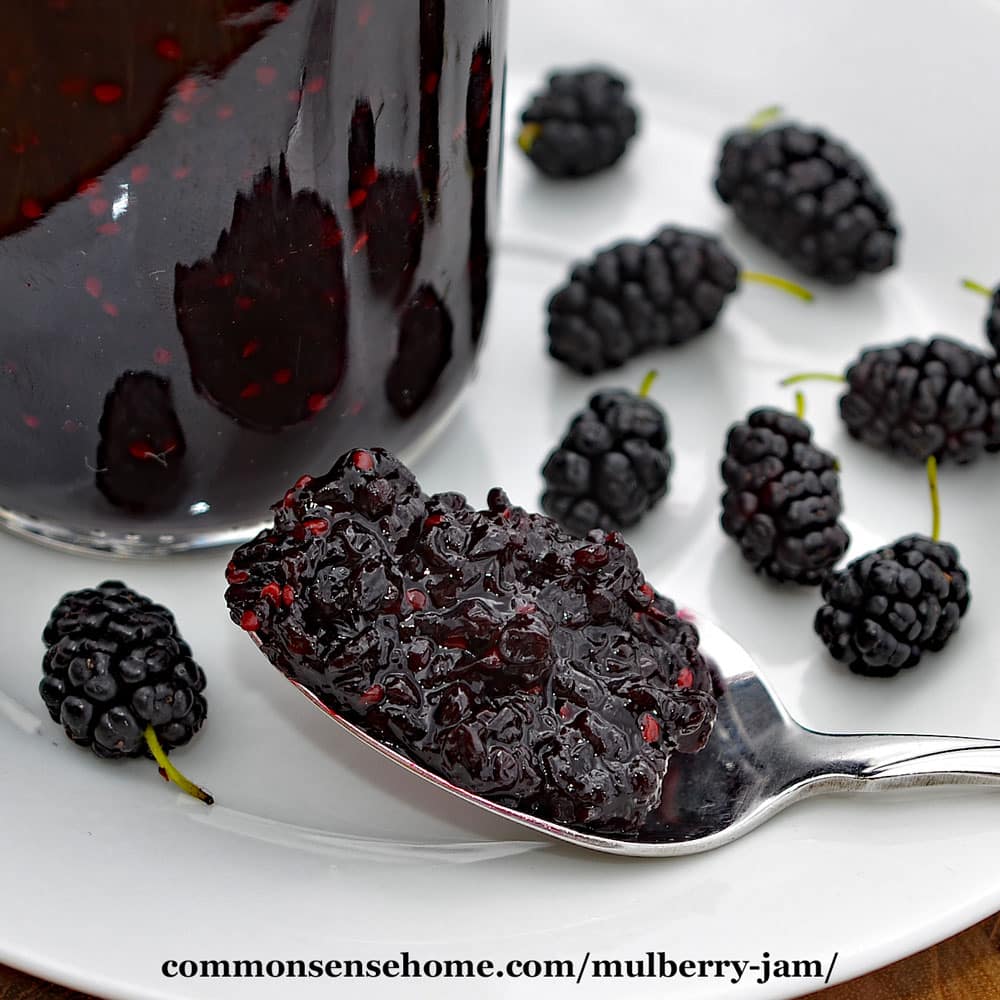 CommonSenseIdea's tweet card. This easy, low sugar mulberry jam recipe with more fruit and less sugar preserves the fresh fruit flavor, plus we share tips for safe mulberry canning.