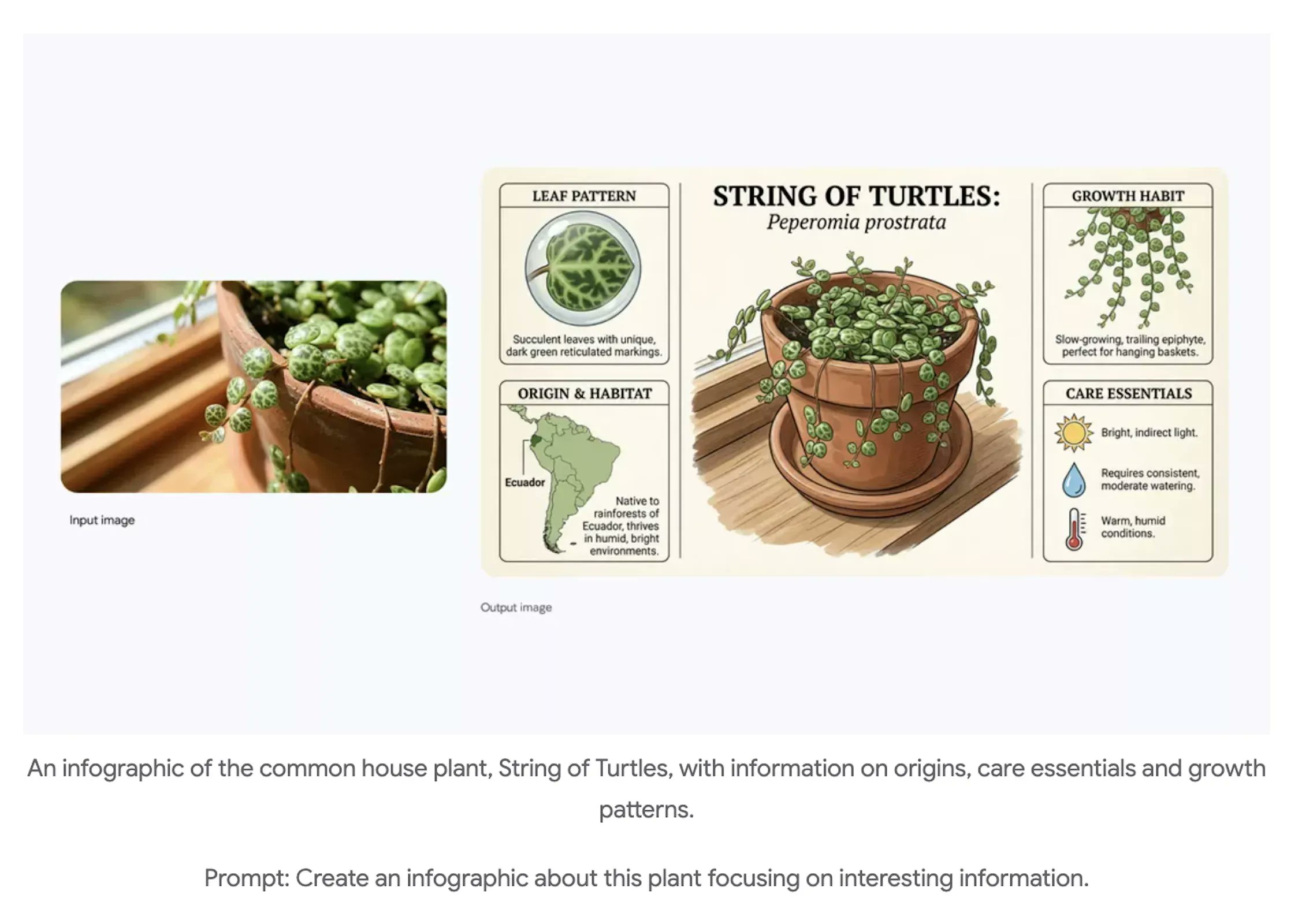 HaywaaWorldwide's tweet card. Google's Nano Banana Pro refines AI image generation for professionals with sharper, realistic visuals.