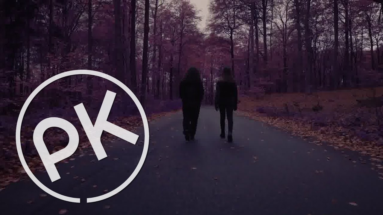 Adler_Sinclair's tweet card. Kid Simius - The Flute Song (Paul Kalkbrenner Remix) [Official Audio]