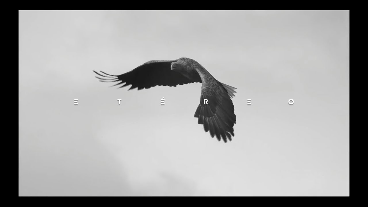 CirculoFuria's tweet card. Circulo de Furia - Etéreo