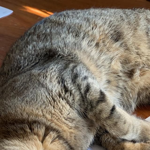 bgrasses's tweet card. Barbara Beseda Grasseschi (@bgrasses) • Instagram photo