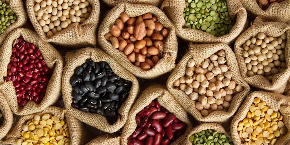 soar_innovation's tweet card. “Plant-based” economy for small businesses and communities