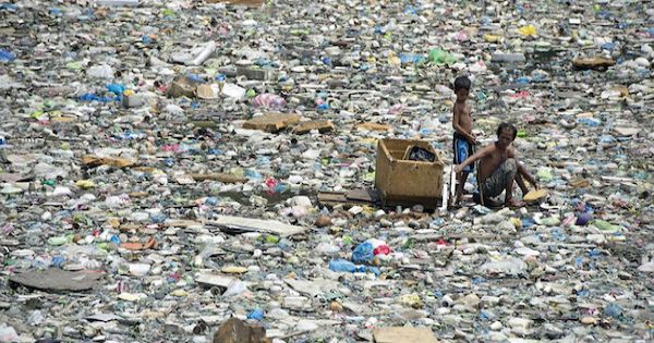 jacob_paulo's tweet card. Here's how we can help end the plastic crisis