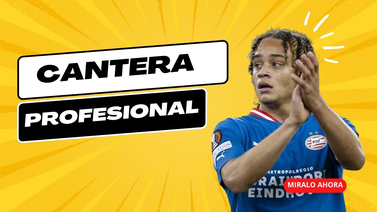 efficientftb's tweet card. FÚTBOL BASE - ESTRUCTURA DE UN EQUIPO DE FÚTBOL PROFESIONAL.