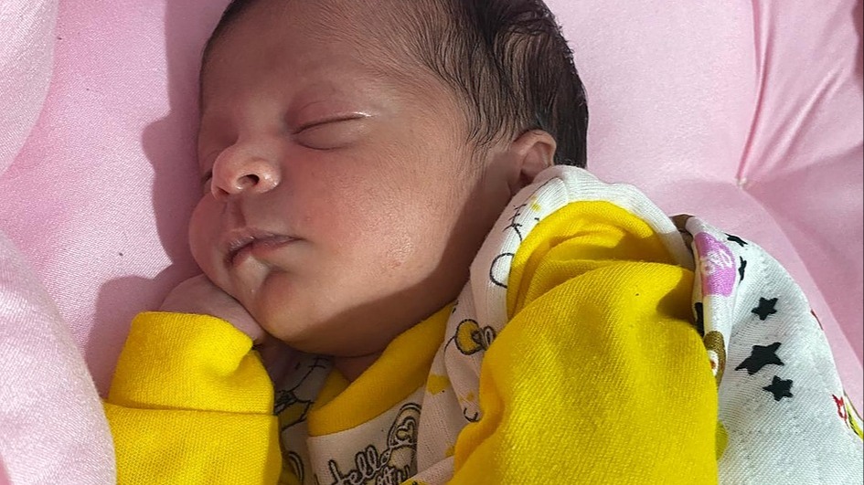 GazaWalaa's tweet card. My name is Walaa, and I am the mother of a little girl named Rima. Our lives were torn apart when our home was completely destroyed in the war. Since then, we have been displaced nearly 20 times,...