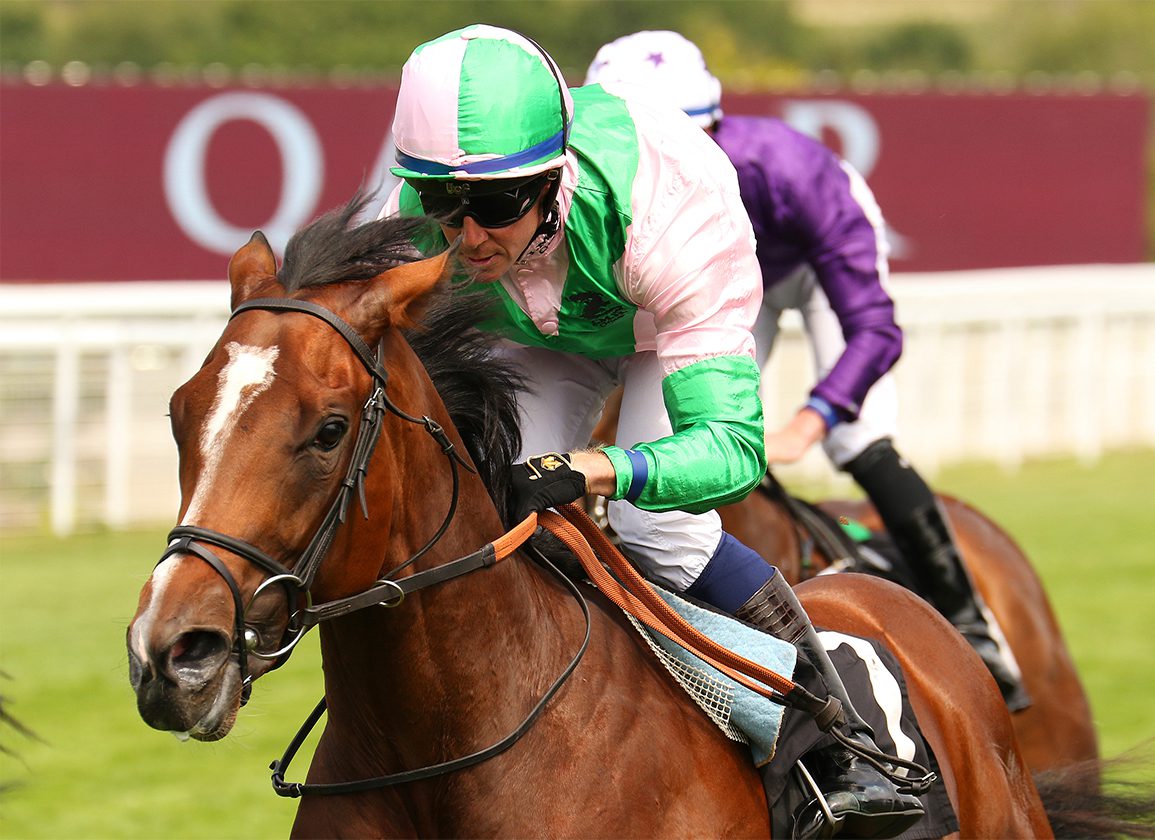 theTDN's tweet card. The G2 Richmond Stakes winner and G1 Dewhurst Stakes runner-up Royal Scotsman will stand at Haras du Taillis in France in 2026. The son of Gleneagles, who was trained by Paul and Oliver Cole for Jim...