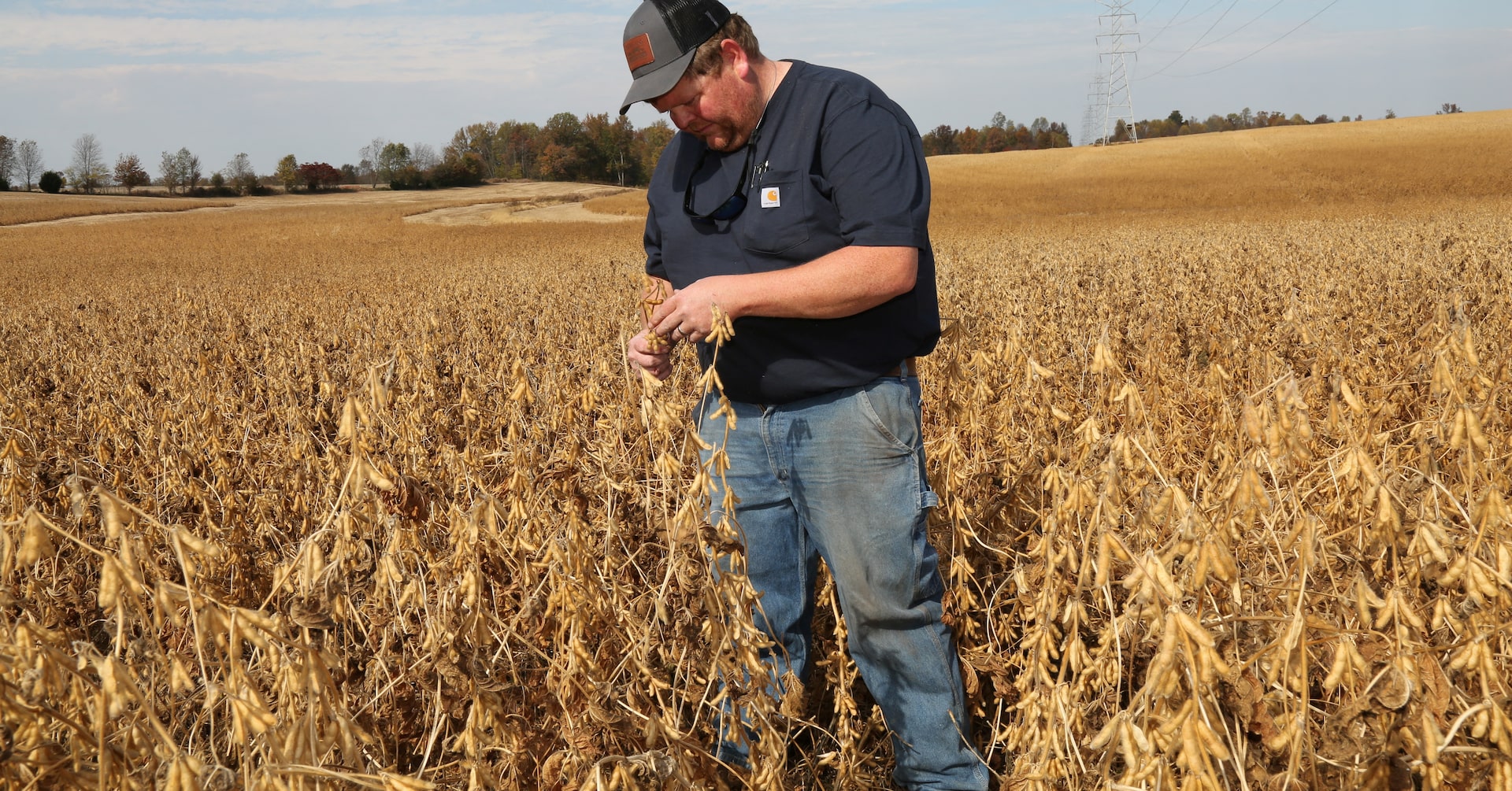 FarmPolicy's tweet card. A surprising tariff pause between Beijing and Washington will not help U.S. farmers revive soy sales in China without additional concessions, producers said, because top-supplier Brazil still has a...