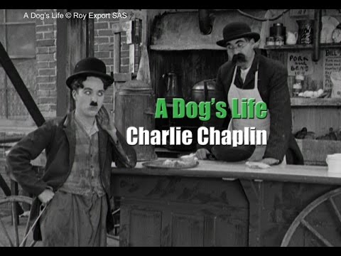 naoki74423692's tweet card. Charlie Chaplin and his brother Sydney in a scene from A Dog's Life...