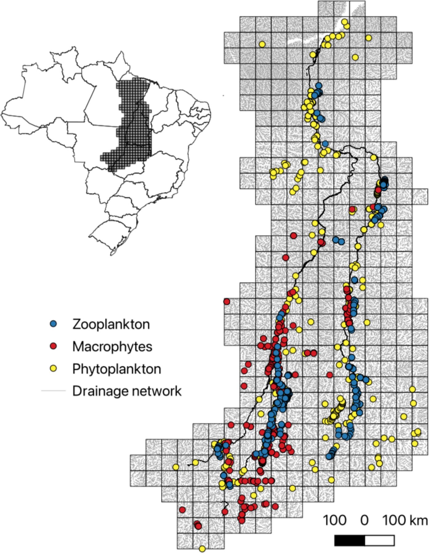 HYDR_Springer's tweet card. Hydrobiologia - Understanding biodiversity and monitoring ecosystems require robust sampling efforts for important bioindicators like phytoplankton, zooplankton, and aquatic macrophytes. This study...