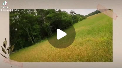 EngelhardtRace's tweet card. Engelhardt Racing (@engelhardt_racing) • Instagram reel