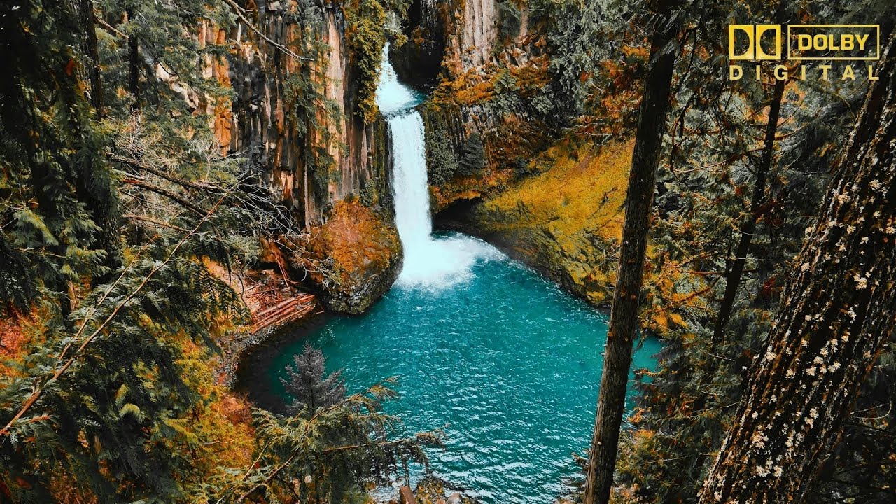 relaxxambiance's tweet card. Relaxing Music for Stress Relief | Bird and Waterfall Sounds for...