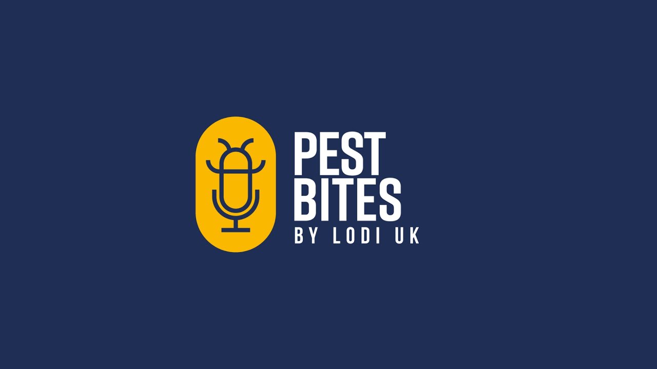 Lodi_UK's tweet card. Professional Control of Bed Bug Infestations - Pest Bites by Lodi UK