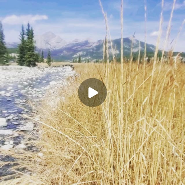 learningwperks's tweet card. Christine Perkin, Literacy & SoR in Middle School (@learningwithperks) • Instagram photos and videos