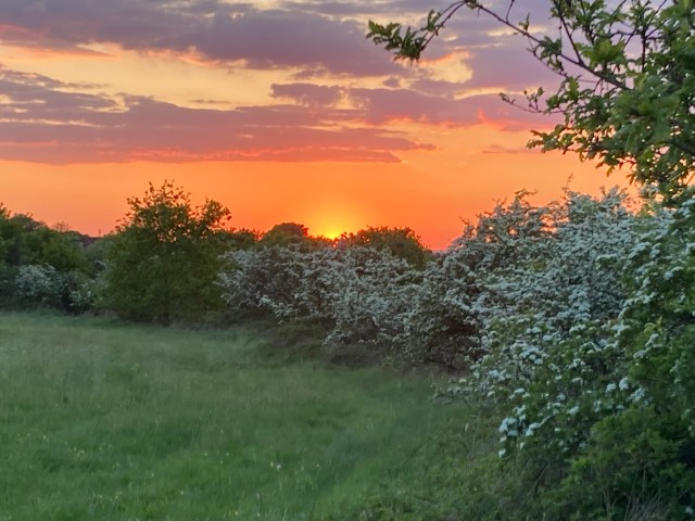 CommunityPlann1's tweet card. In July 2024, the Labour Party, led by Prime Minister Keir Starmer, assumed power with ambitious pledges to restore nature, combat climate change, and position the UK as a global leader in environm…