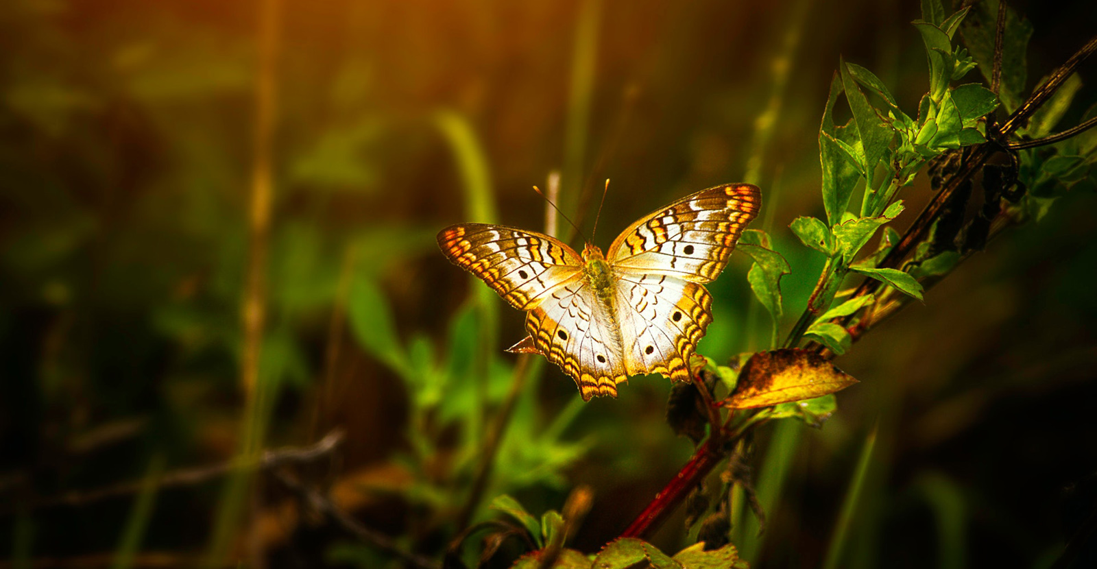 ECPR_TheLoop's tweet card. Examining the first 99 entries in our Science of Democracy series, Alex Prior identifies an asymmetry between references to people (demos) and power (kratos). Through a discussion of this asymmetry...