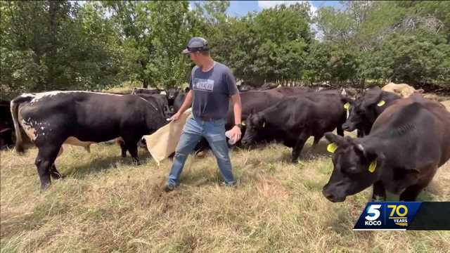 FrSimeonOSB's tweet card. An 18-year-old and a juvenile are facing felony charges after cattle were killed and butchered at St. Gregory’s Abbey in Shawnee.