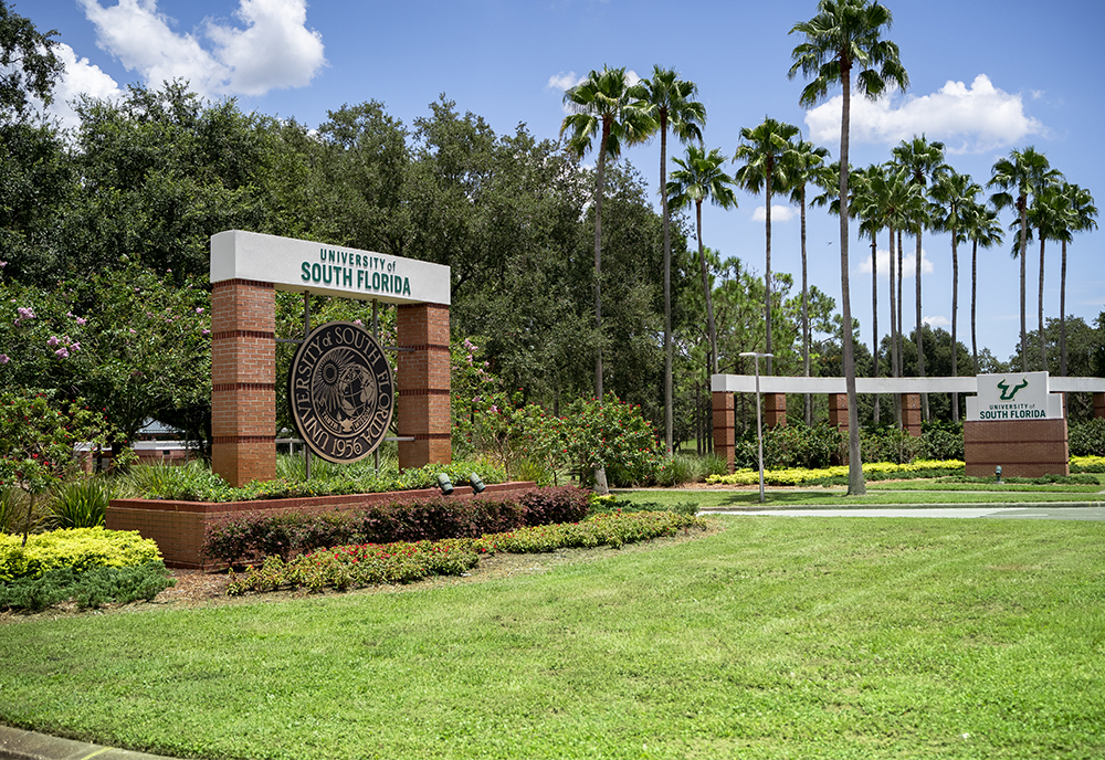 stevencurrall's tweet card. The University of South Florida will develop an innovative new database that will help streamline the process for students transferring from the Florida College System into USF or other select state...
