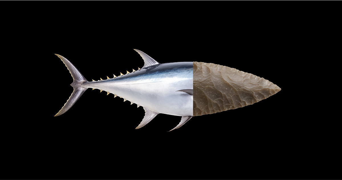 bimedotcom's tweet card. Multimodal models are unlocking new forms of human expression and fluid intelligence. This isn’t just a UX improvement—it’s a new mental operating system.