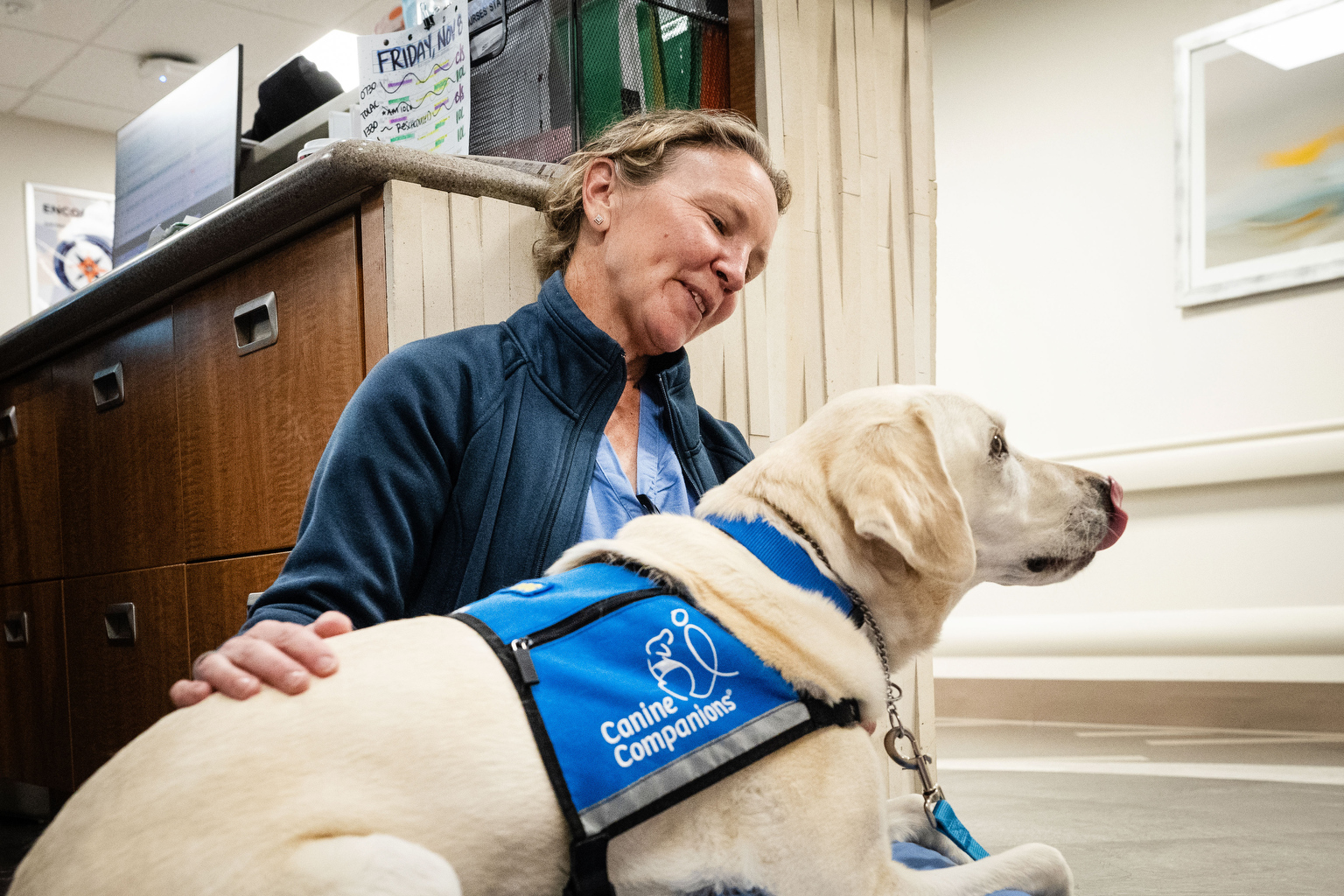 KFFHealthNews's tweet card. Some hospitals are bringing in dogs to spend entire shifts with doctors and nurses. The trained canines help staffers cope with the stress of their work amid high levels of burnout.