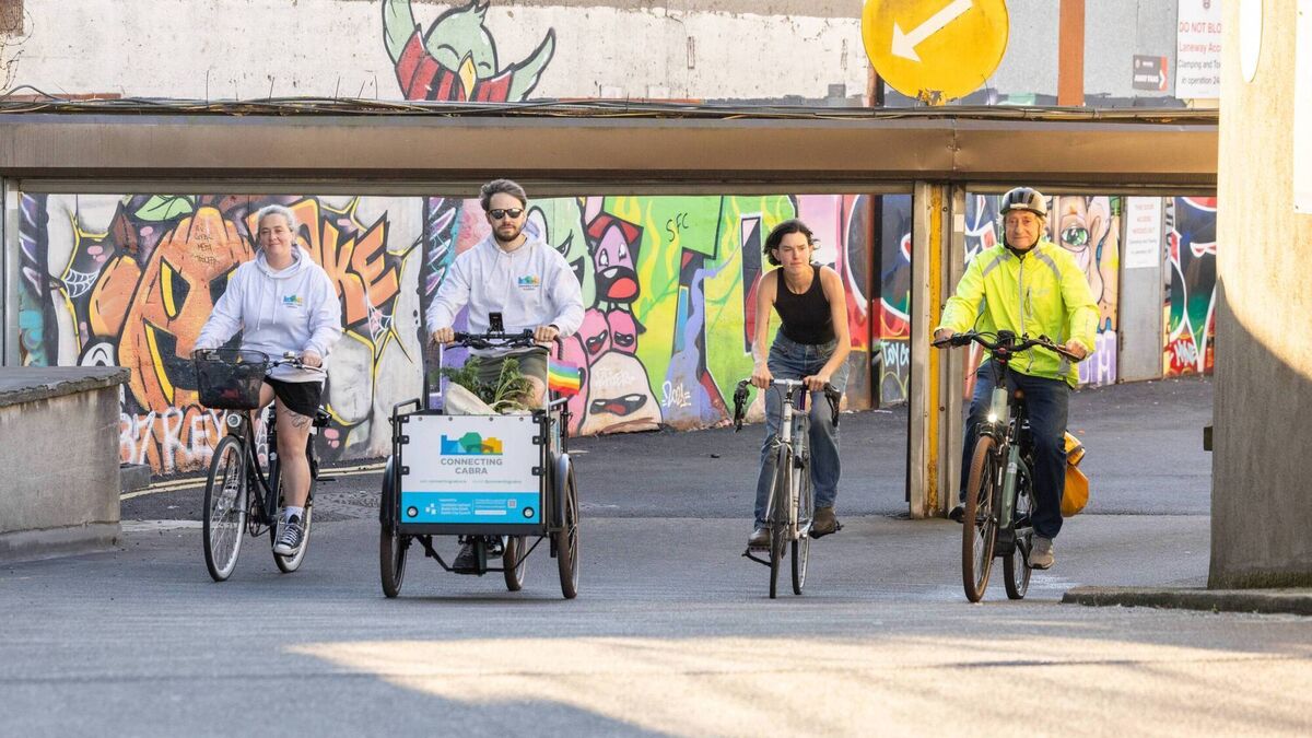 ExaminerBiz's tweet card. William Walsh, CEO of Sustainable Energy Authority of Ireland, outlines how EcoVision is engaging with community projects all over Ireland