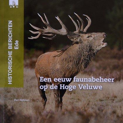 Image for twitter card