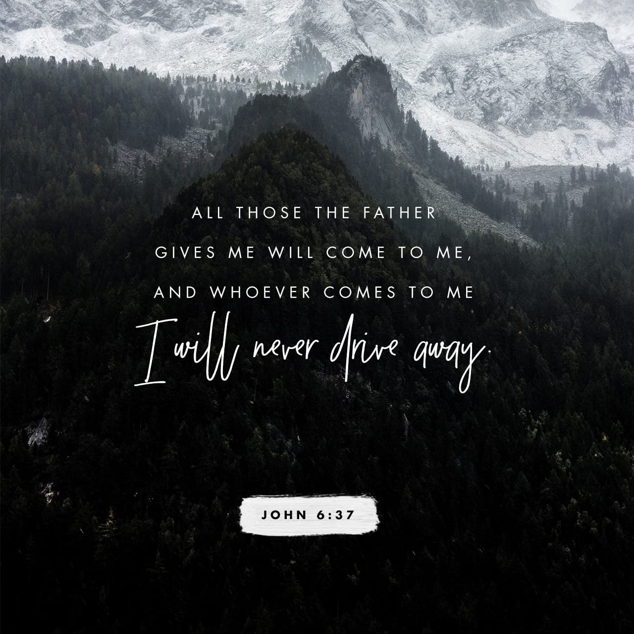 syssecserv's tweet card. “All that the Father gives Me shall come to Me, and the one who comes to Me I shall by no means cast out.