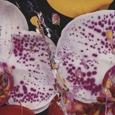 ChakraIntimates's tweet card. Chakra Intimates (@chakraintimates) • Instagram photo