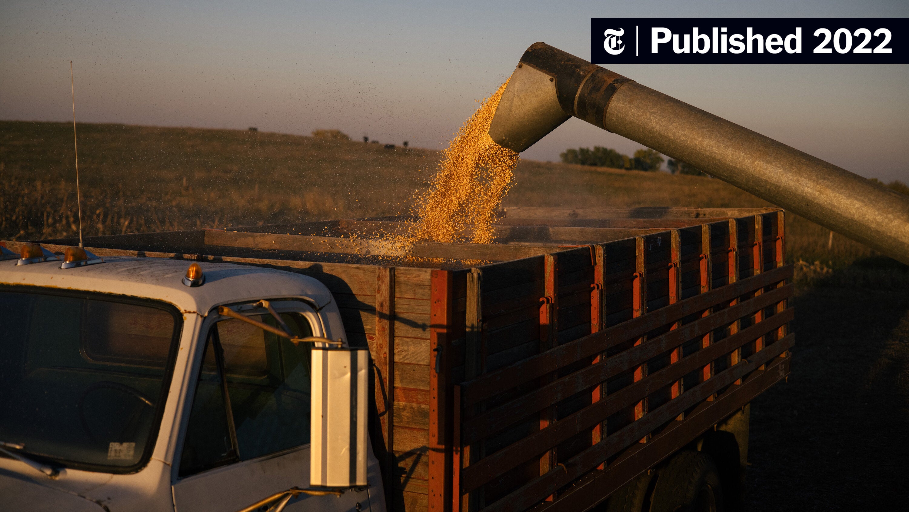 PFSCommunity's tweet card. The prices have climbed to their highest level since 2011, according to a U.N. index. It could cause social unrest “on a widespread scale,” one expert said.