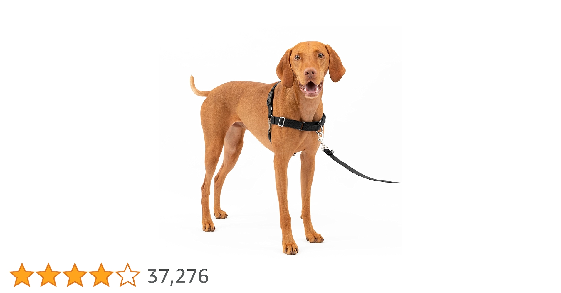 petgoods_lab's tweet card. Veterinarians and trainers recommend the Premier Easy Walk Harness for training your dog to stop pulling while he’s walking on a leash. The unique front-chest attachment stops pulling by tightening...