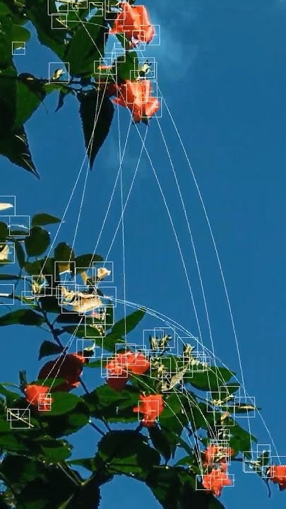 siu_suet_07's tweet card. Plants #flower #ambient #noise #glitch #modular #modularsynth #relax...