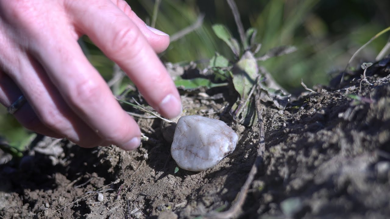 bugaddr's tweet card. How To Make A CPU