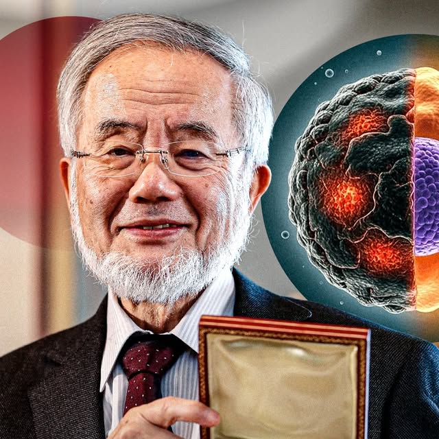 iamsonalibendre's tweet card. Technology (@technology) • Instagram photos and videos