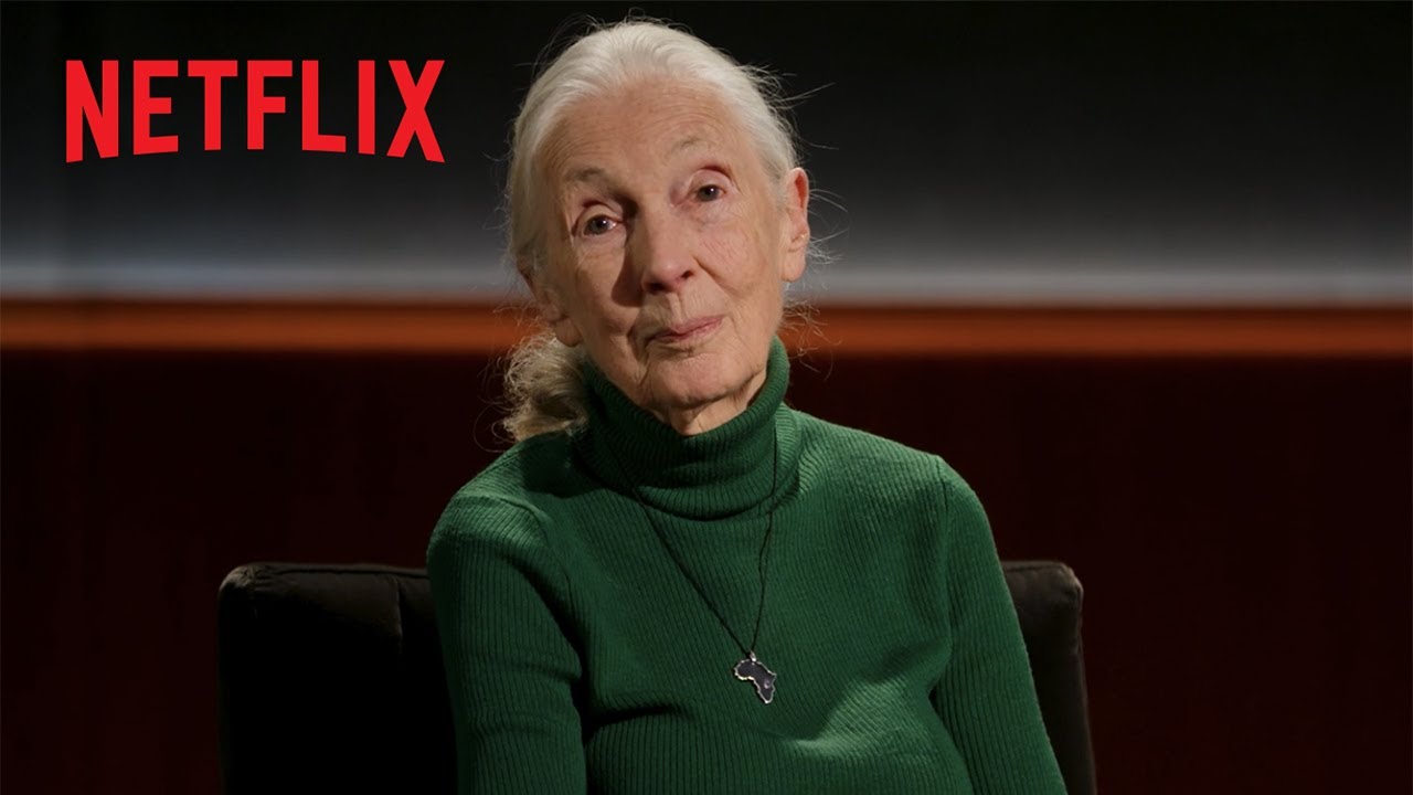 PeterKimData's tweet card. Dr. Jane Goodall’s Final Message To The World | Famous Last Words |...