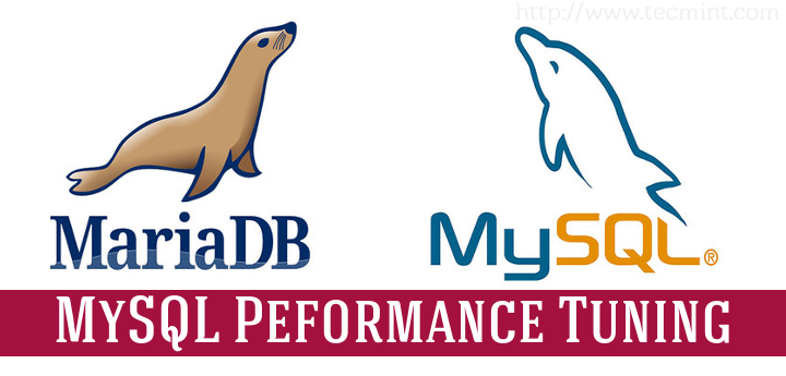 ReportServer's tweet card. This article will show you some basic, yet useful tips on how to optimize and fine tune the performance of MySQL/MariaDB to speed of MySQL/MariaDB queries.